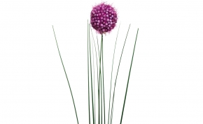 Искусственный цветок Алиум фиолетовый 901824