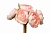 Букет розовых лютиков 421694