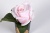 Диффузор ароматический Rose Bud Pink 871018