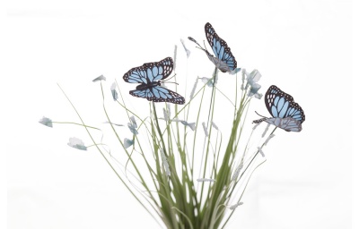 Стебли травы с бабочками (голубые) 948887