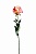 Роза нежно-розовая 355583