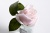 Диффузор ароматический Rose Bud French Pink 555509