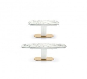 CAMEO 689061