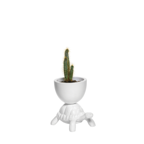 Turtle Carry XS Planter 494229