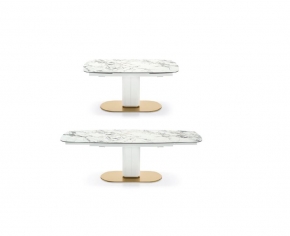 CAMEO 787976