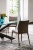 Обеденный стул Cattelan italia Arcadia 540265070001 - ecopelle BIANCO 313301
