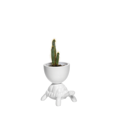 Turtle Carry XS Planter 494229