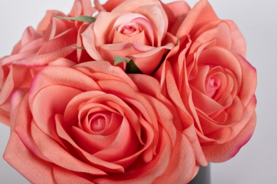 Диффузор ароматический Five Rose Peach 957843