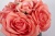 Диффузор ароматический Five Rose Peach 957843