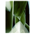 Carpet Studio Nucleo Green Onyx (3x4mt) 478050