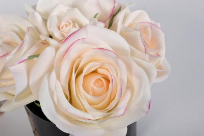 Диффузор ароматический Five Rose Pink 540273