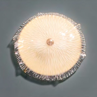 Бра MIMESIS W3 599552