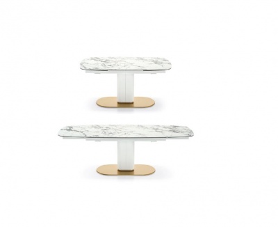 CAMEO 787976