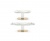 CAMEO 787976