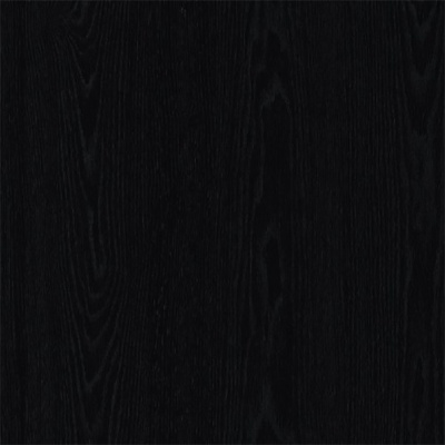 Обеденный стул Cattelan italia Dumbo 540242090037 - FR73 Ash lacquer black 790470