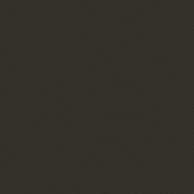 Обеденный стул Cattelan italia Dumbo 540242090960 - FR73 Ash lacquer black 170442