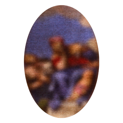 Carpet Blur Oval 305188