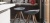 Palm W 909915 Palm W 909915