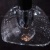 Подвесной светильник VIKRAM P1 804337 Подвесной светильник VIKRAM P1 804337