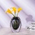 Ваза ZANNY Vase 344676